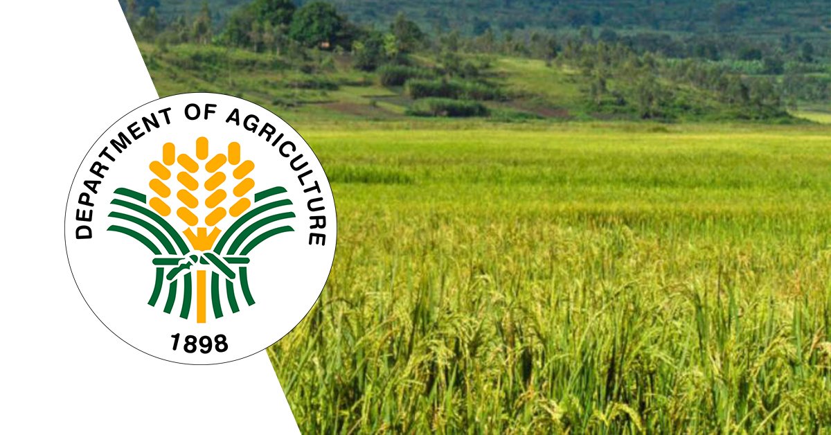 DA: Palawan farmers to benefit from Rice Tarrification Act funds