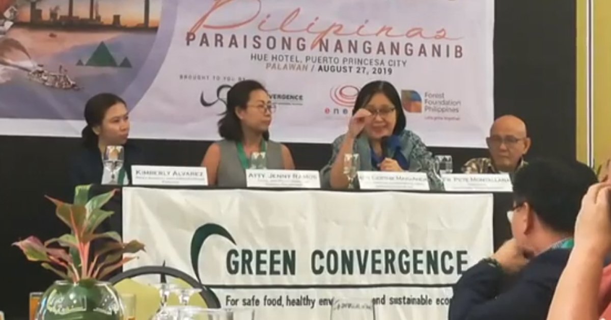 ELAC: Dividing Palawan might increase poverty and endanger environment