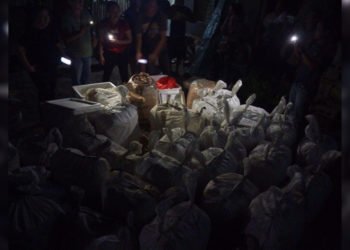 PCSD calls for people’s help vs. wildlife byproducts’ trade amid P30-M confiscated items