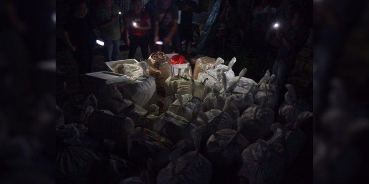 PCSD calls for people’s help vs. wildlife byproducts’ trade amid P30-M confiscated items