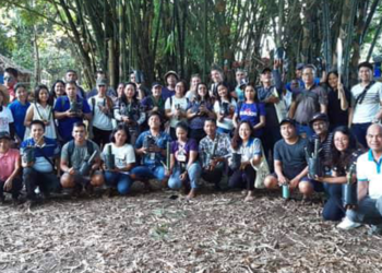 Bamboo as fence to prevent encroachment in forestland?