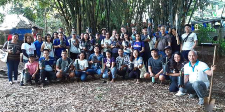 Bamboo as fence to prevent encroachment in forestland?