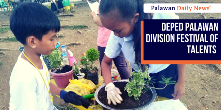 DepEd Palawan hosts Division Festival of Talents in Narra