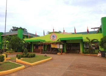 Narra, naglalayong magkaroon ng sariling heritage site