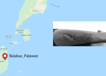 12-anyos na batang babae sa Balabac, iniligtas ng kapatid