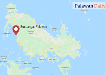 Alkalde ng Busuanga, kinilala ng Sangguniang Panlalawigan sa mabilis na aksyon vs land-grabbing attempt