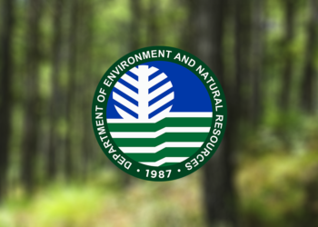 DENR appeals for the creation of Enforcement Bureau