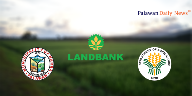 Narra farmers avail of DAs Sure Aid Program