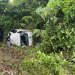 Five injured in car accident in Narra
