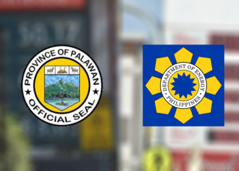 Palawan legislature wants DOE, gas stations to explain high fuel prices