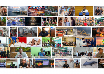 Palawan Daily News 2019 Year in Review