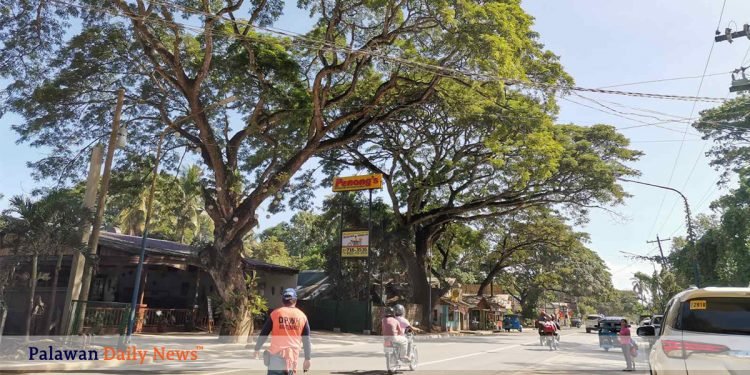 Bayron reveals Tourism Mile program for Rizal Avenue extension