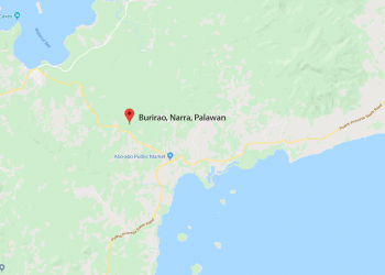 2 dead, 1 seriously injured in Narra crash