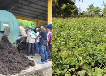 Zero waste town in Visayas has no landfill nor dumpsite