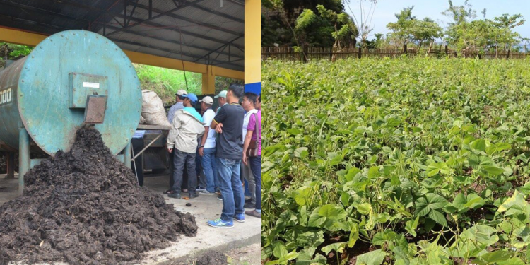 Zero waste town in Visayas has no landfill nor dumpsite