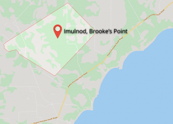 Man hacks cousin dead in Brooke’s Point