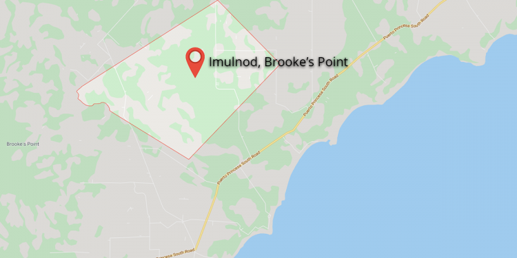 Man hacks cousin dead in Brooke’s Point