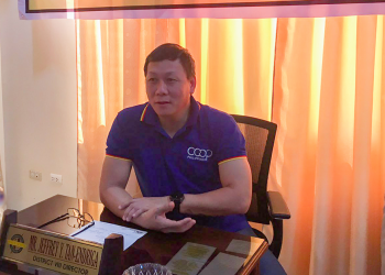 Paleco slams DOE over pending endorsement request