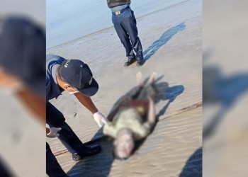 Lifeless body found on a beach in Rizal, Palawan
