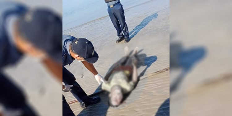 Lifeless body found on a beach in Rizal, Palawan