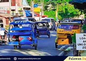 DOTr rejects City’s plea for trike ban exemption; City Government seeks alternative solutions