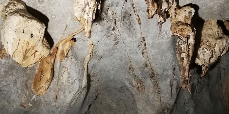 Puerto Princesa to host Cave Congress anew