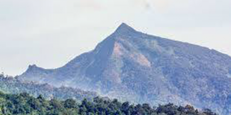 Cleopatra’s Needle Critical Habitat regulates activities within the area