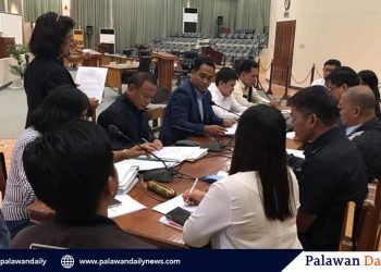 Business Forum slated to discuss fuel price in Palawan