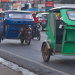Damasco wants trike drivers to get PAGIBIG