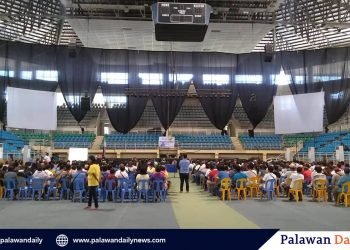 Damasco resigns from transpo committee; challenges Maristela to take his post