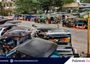 CTMO apprehends 97 colorum and private tricycle units without ‘not for hire’ sign