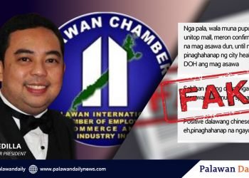 Palawan Chamber of Commerce condemns fake news about nCov in Palawan