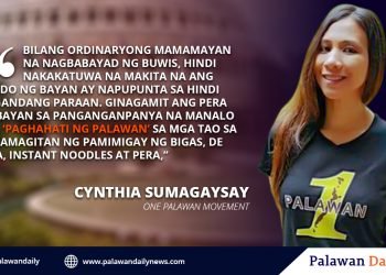 Cynthia Sumagaysay lambasts Palawan capitol for early campaigning