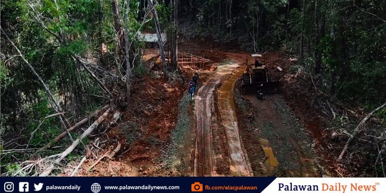 City ENRO proposes protocol to safeguard city’s forest and core zones