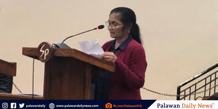 Newly IP rep asked to support ‘3N1 Palawan’