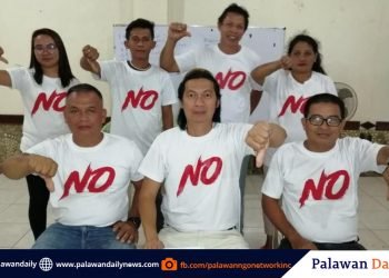 PNNI thumbs down Palawan division anew