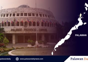Palawan gov’t temporarily halts entry of people from China