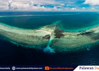 Scientists to study Tubbataha’s ‘carrying capacity’