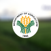 DA regional director optimistic to attain major reforms in Palawan’s agriculture