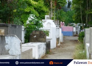 Local government-owned crematorium to address limited city cemetery