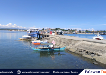 City dad contemplates to push ferry-service-system ordinance in Puerto Princesa