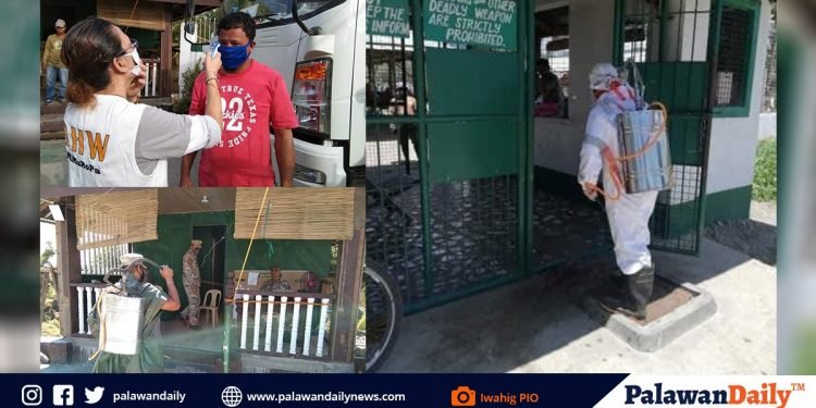 Iwahig disinfects facility