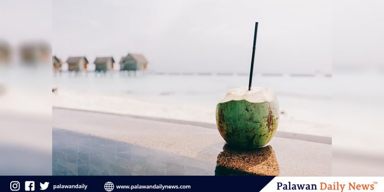 CSC encourages government agencies to serve buko juice