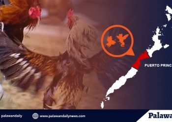 Men arrested for cockfighting