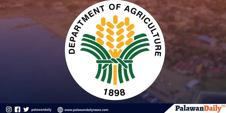 DA suspends payment of agricultural loans for one year