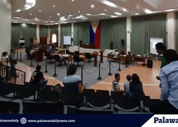 Palawan declared under a ‘State of Calamity’ thru ‘online session’