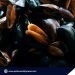 Puerto Princesa Bay remains free from red tide