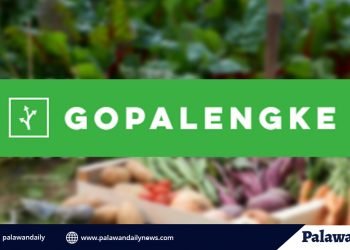Going to market made easy via Go Palengke in Puerto Princesa