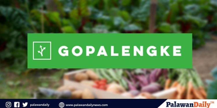 Going to market made easy via Go Palengke in Puerto Princesa
