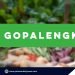 Going to market made easy via Go Palengke in Puerto Princesa